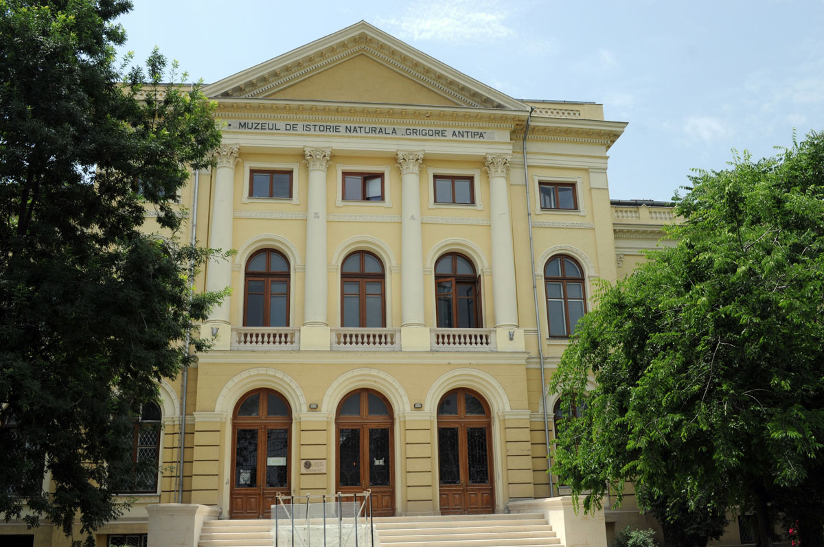 Muzeul Grigore Antipa